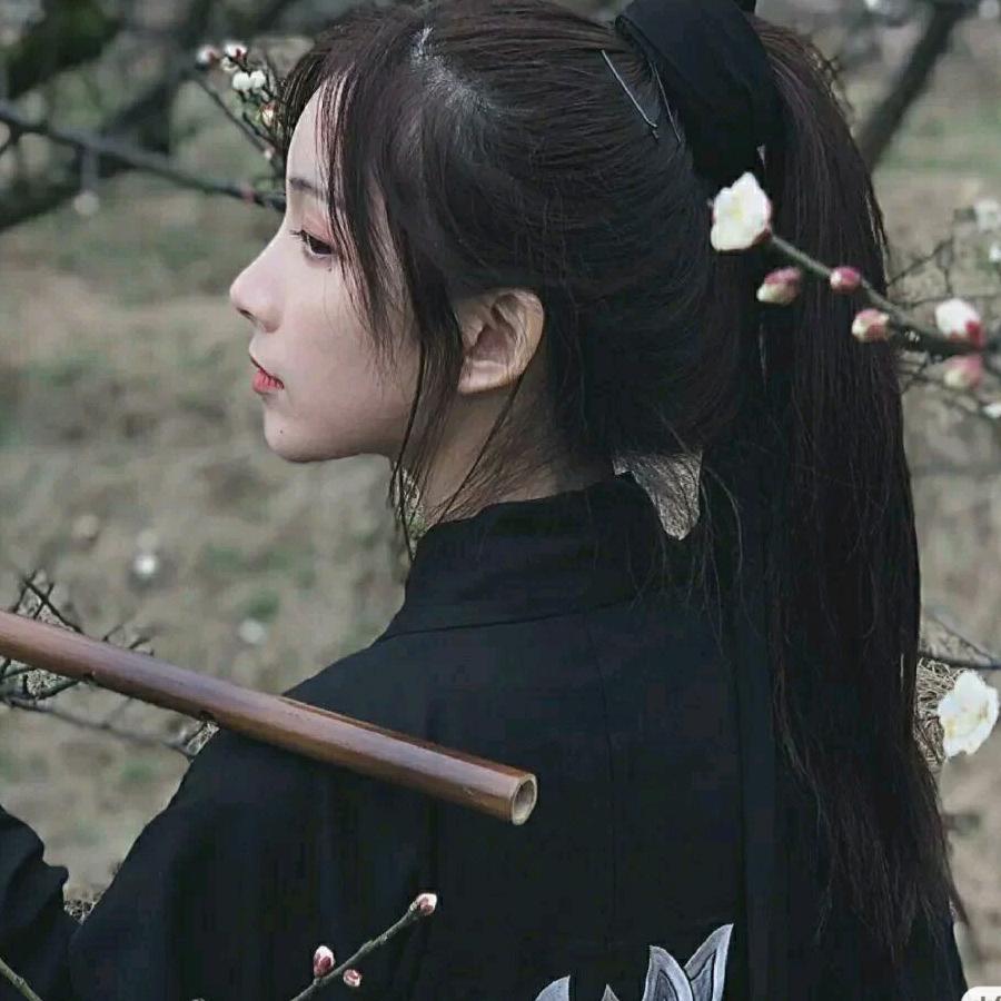 风清淡雅