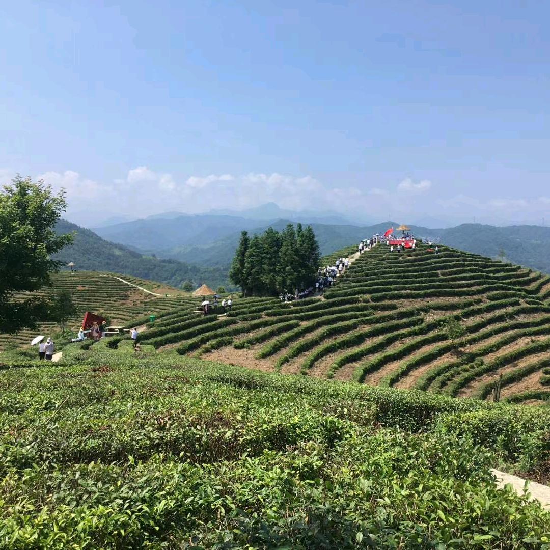 【平安顺利～幸福安康】