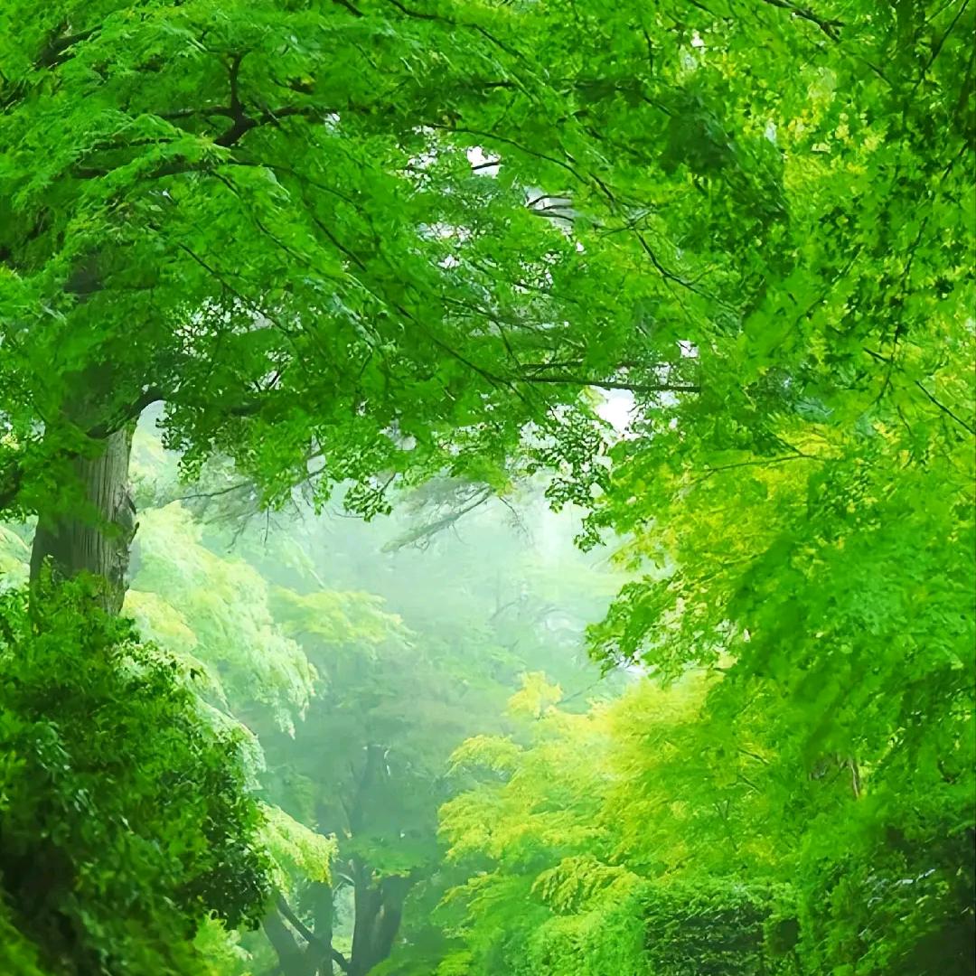 用户遇见你