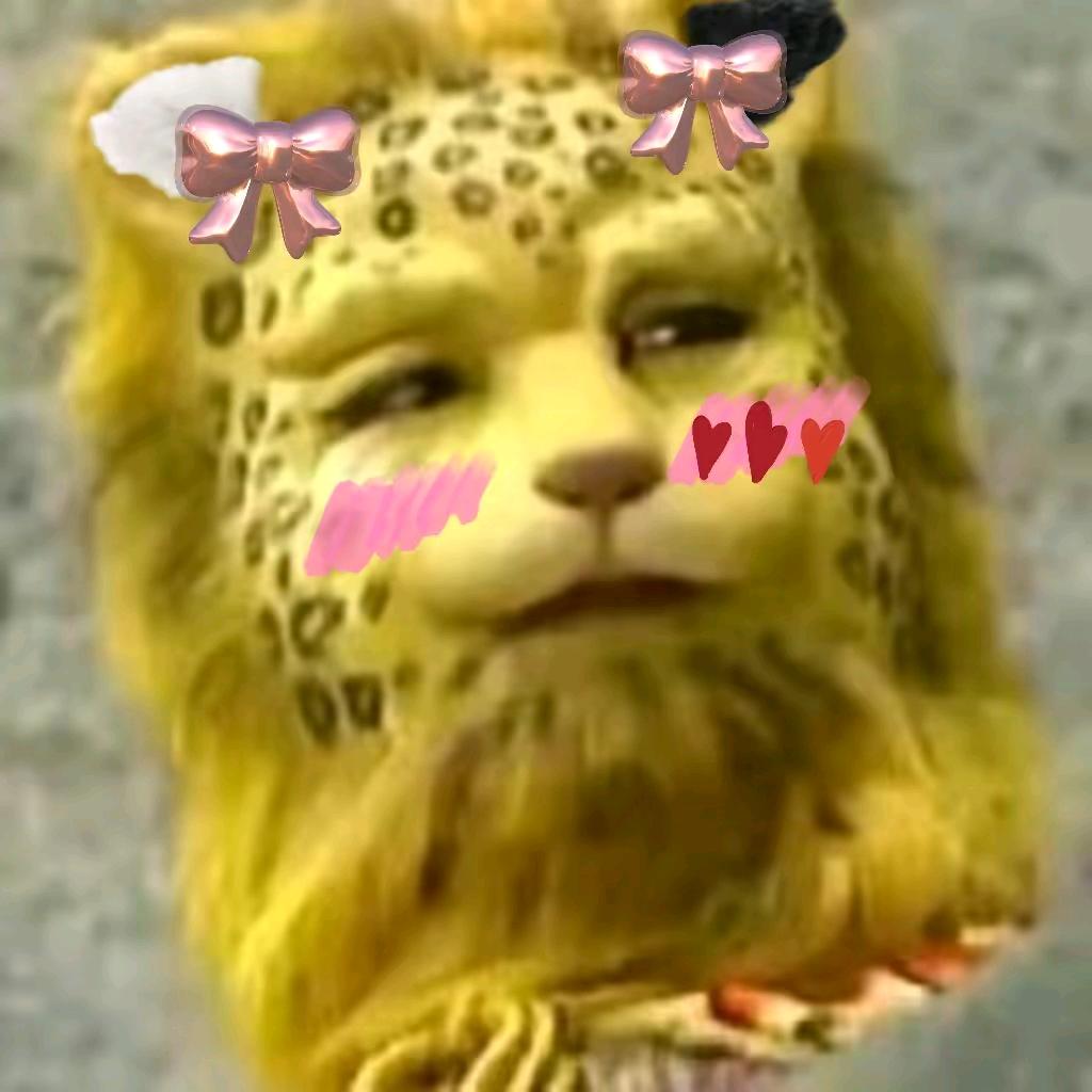 霸总小仈