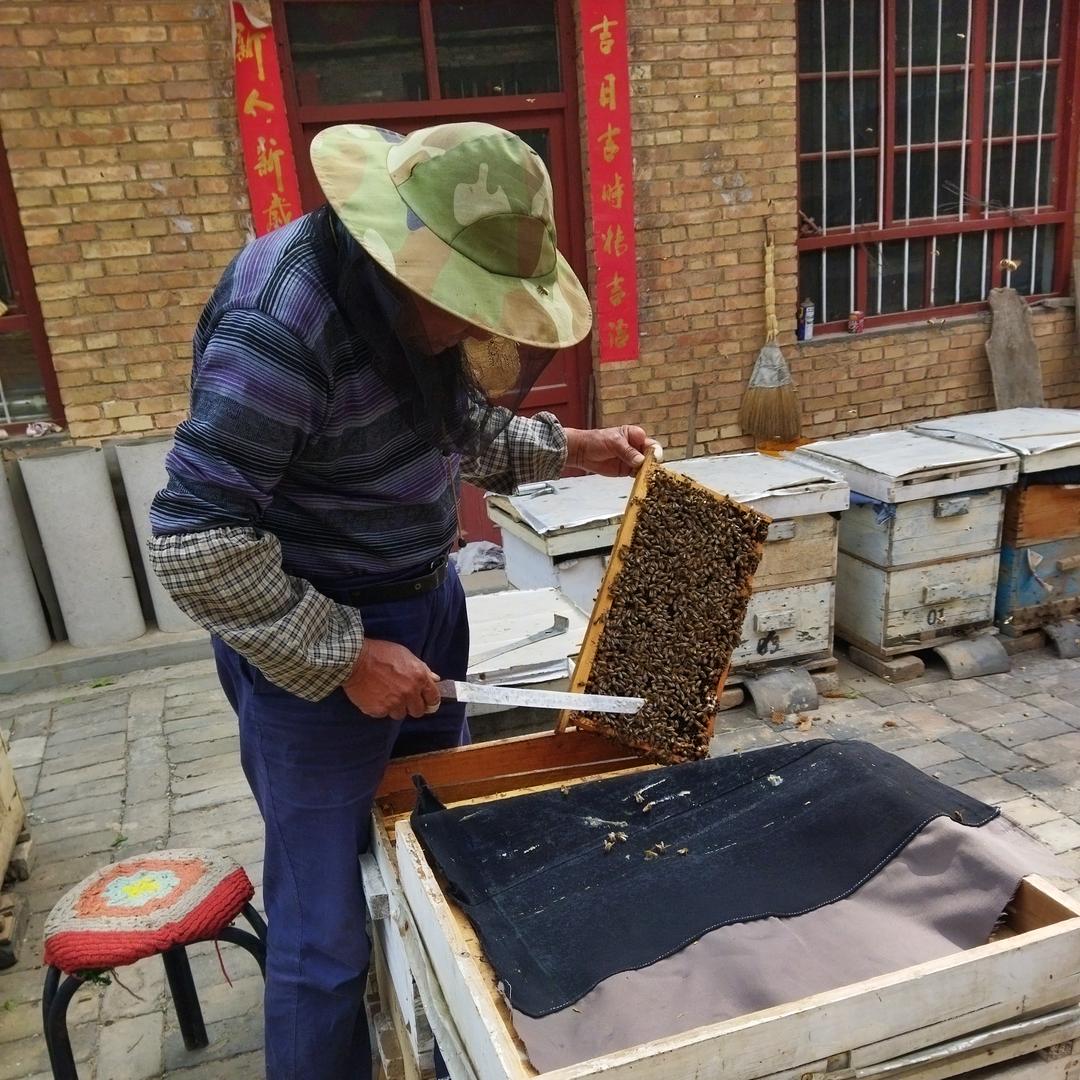 蜜动人心