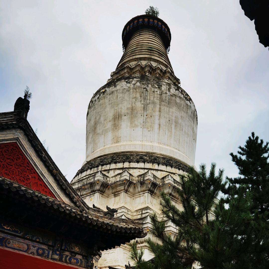 中央厨房