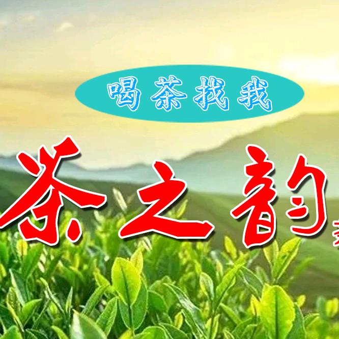 日照绿茶～茶之韵