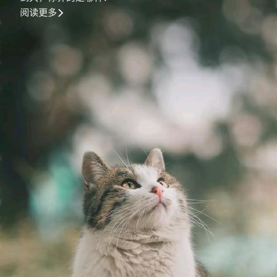 北浪