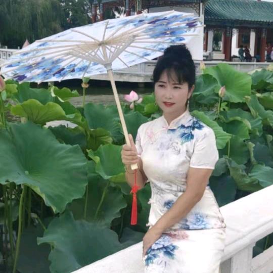 紫色蔷薇