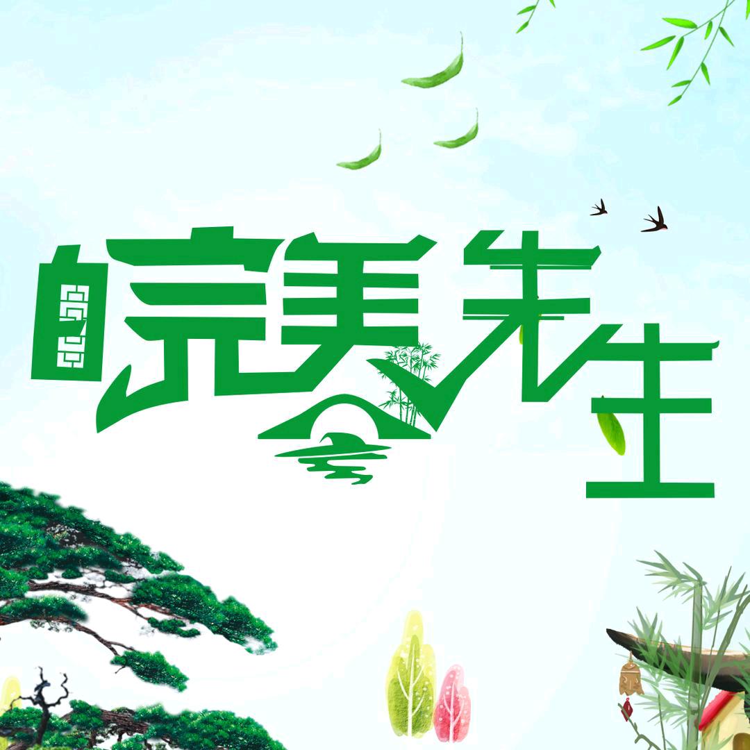 皖美先生