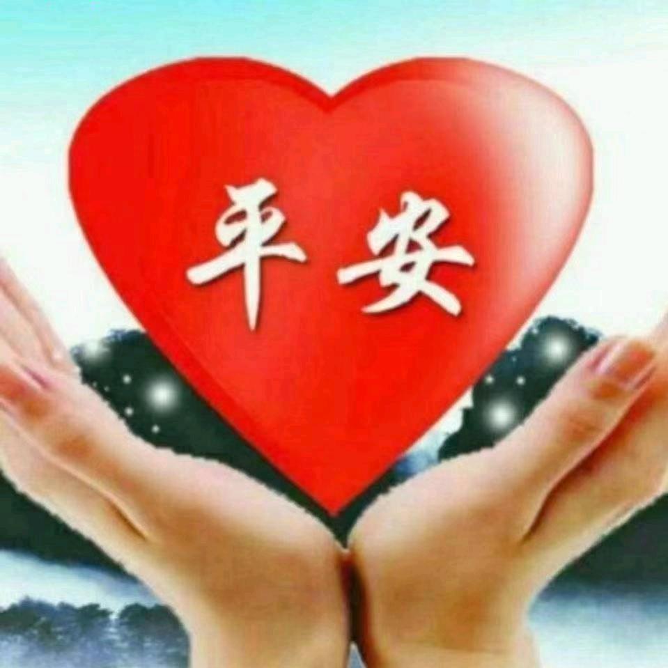 春暖花开！🌹