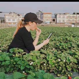 百依百顺童乐世界