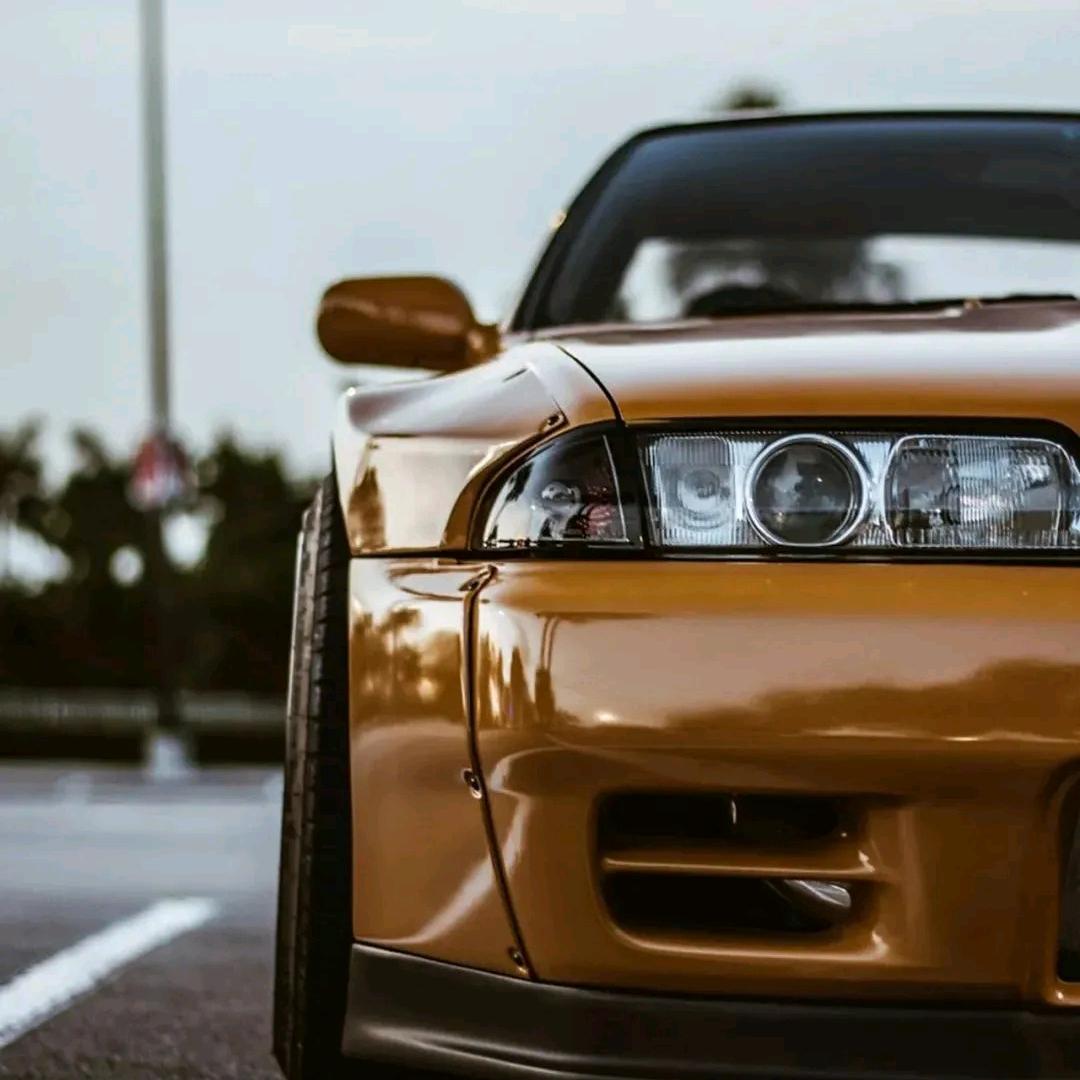 紘偉 𓆜 𓆝 𓆞 𓆟𓆝