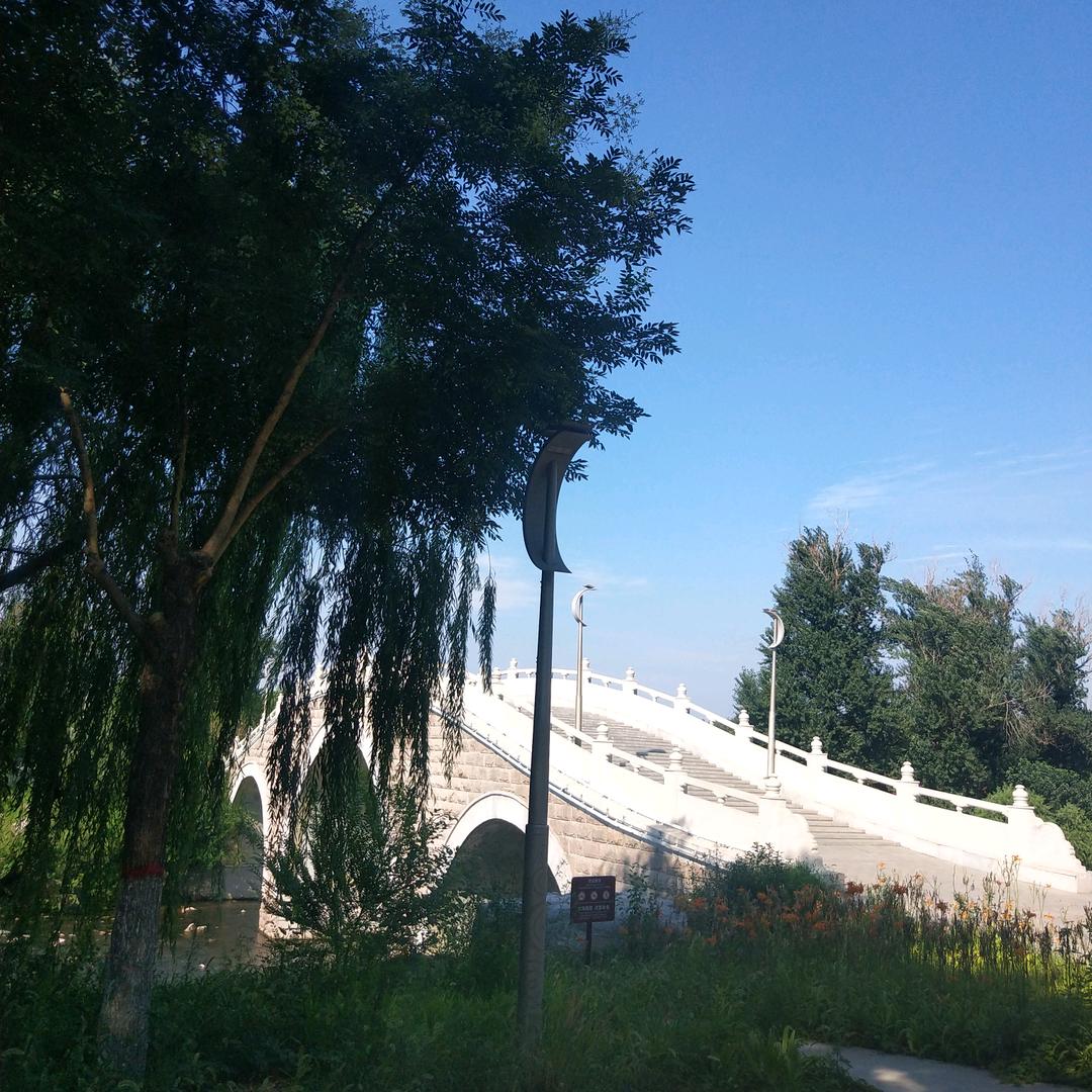 🥰এ᭄逆风而行ꦿ2025এ