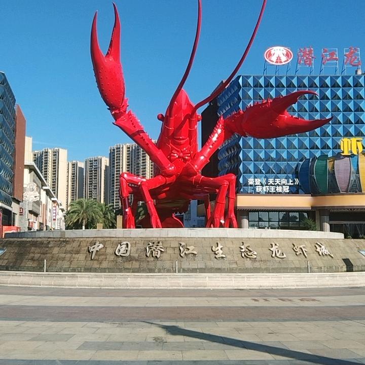 贵州小杨专业架子工