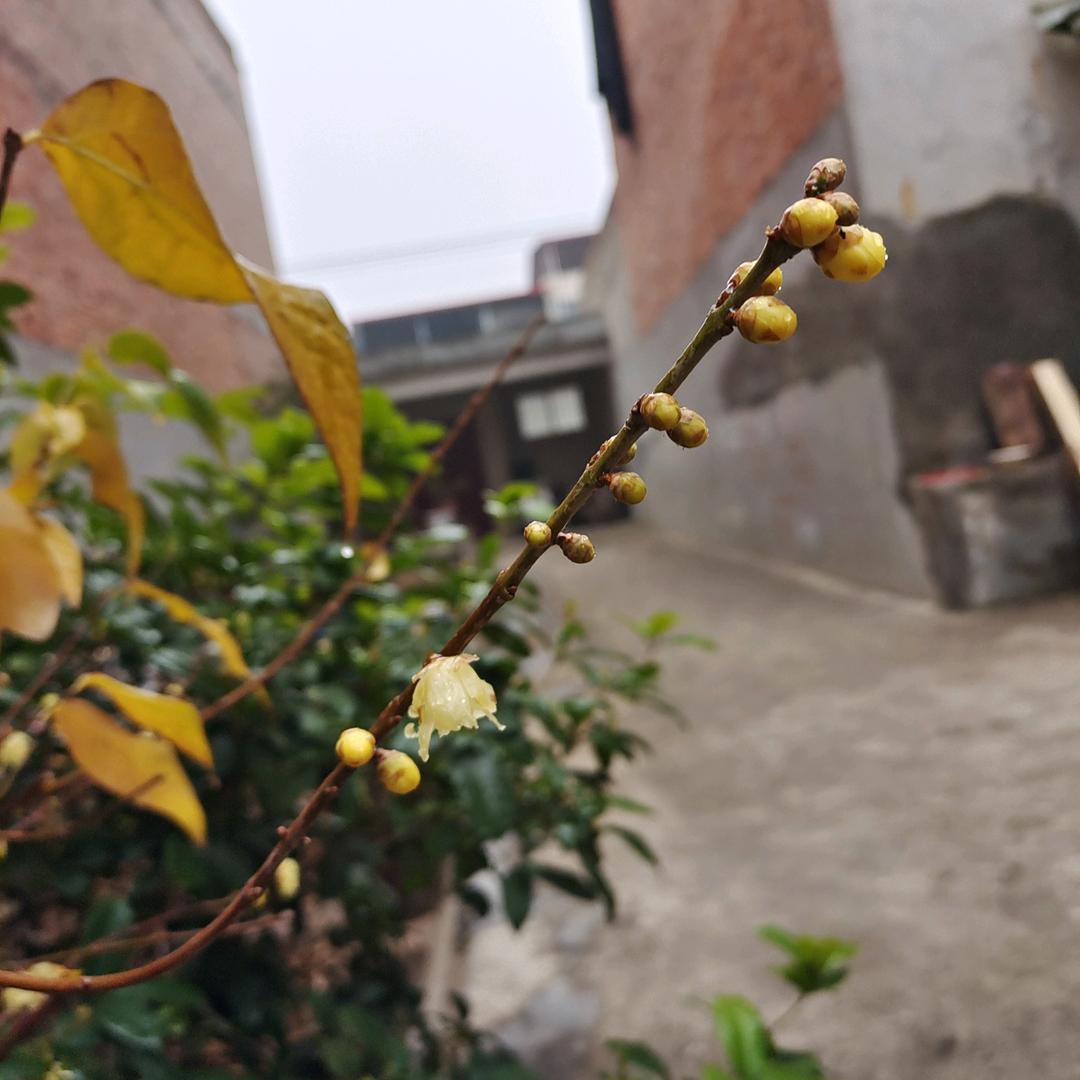 小水滴