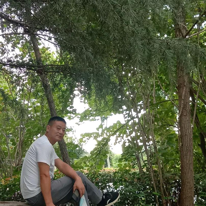 人生一场梦。