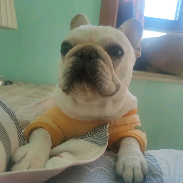 腻