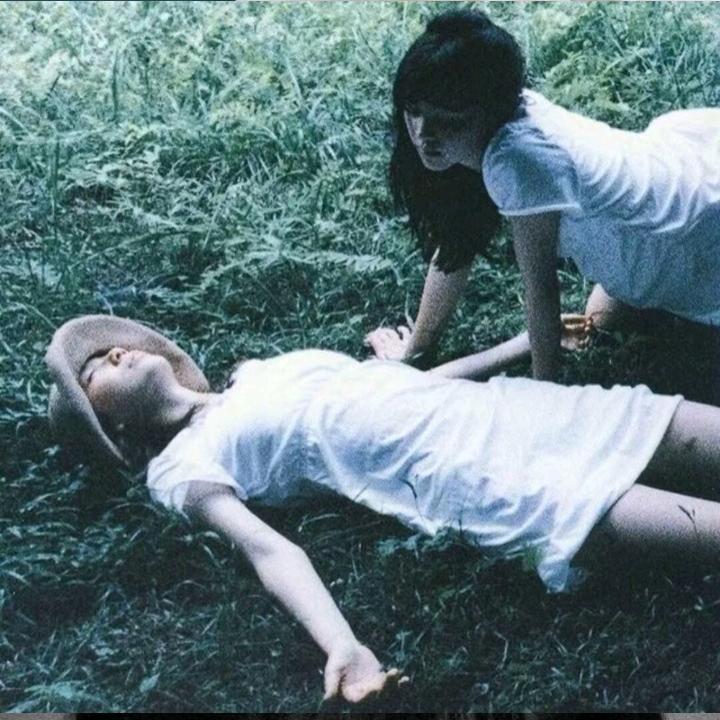 天使翅膀小狗
