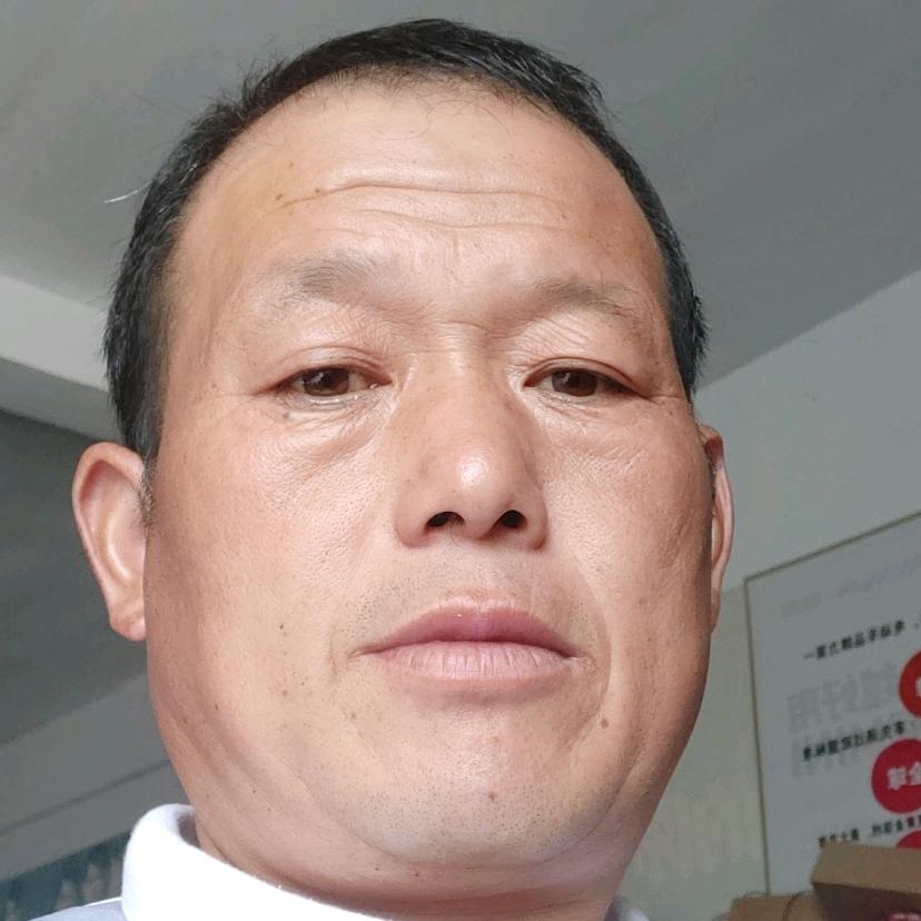 水领车行