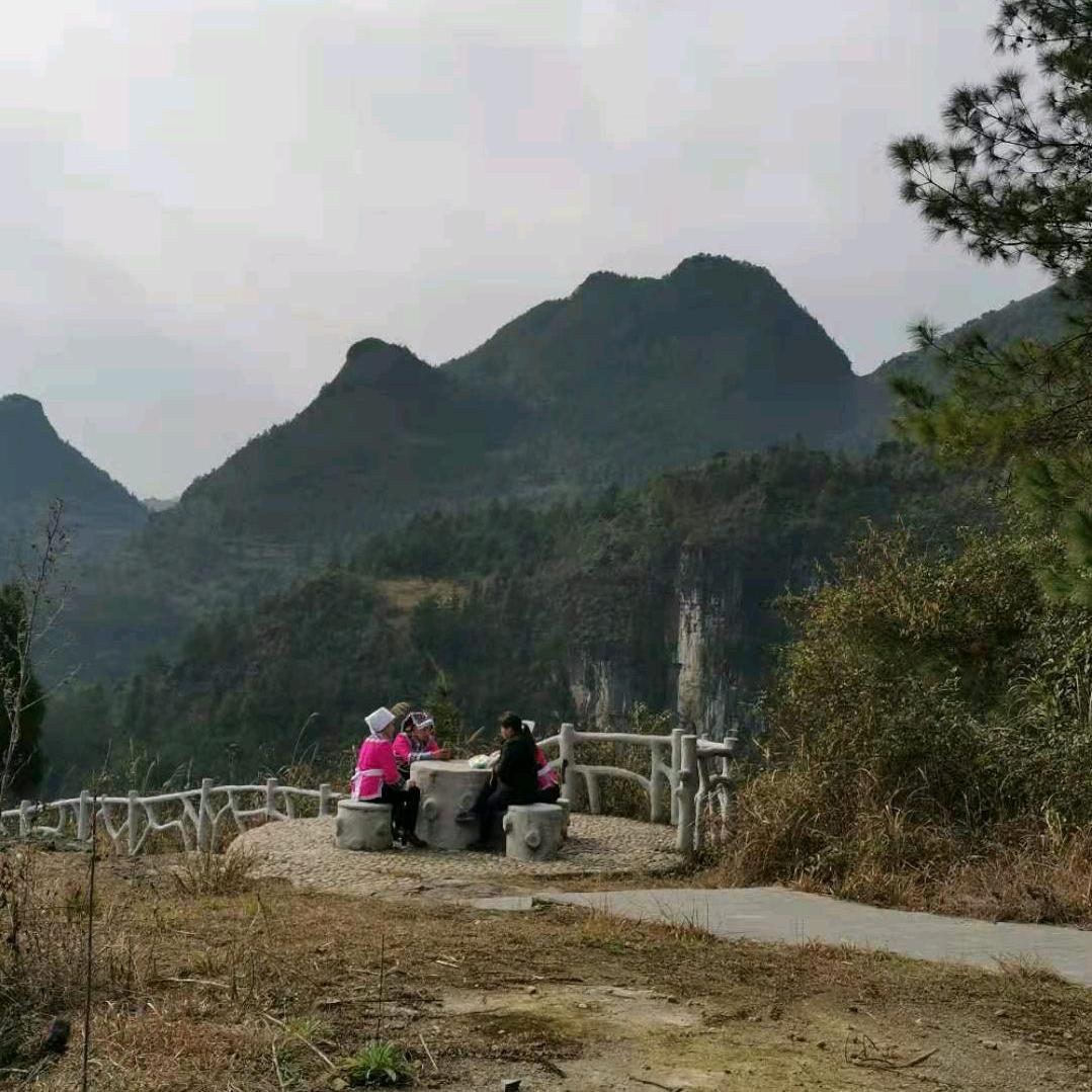 过好每一天