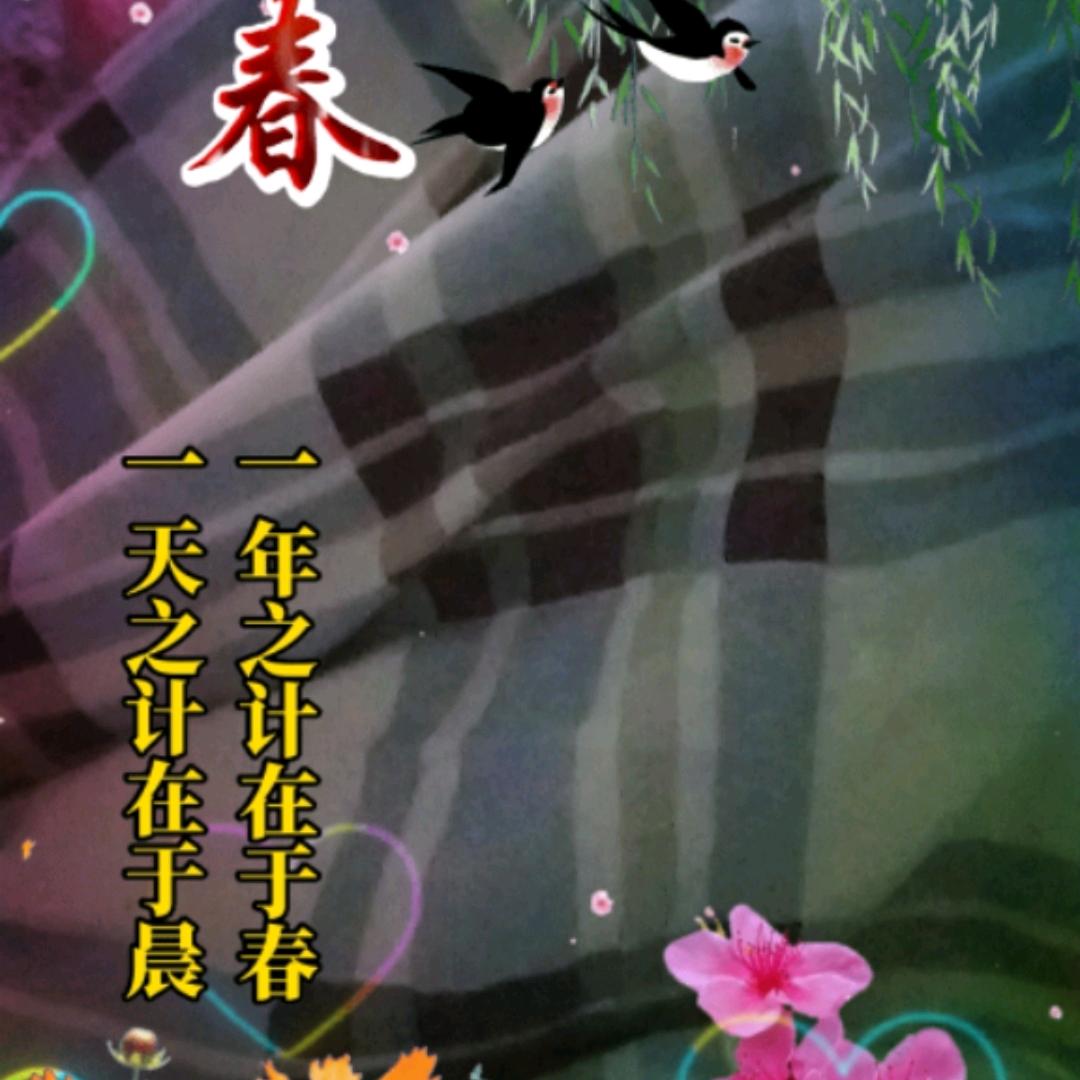 罗寒飞