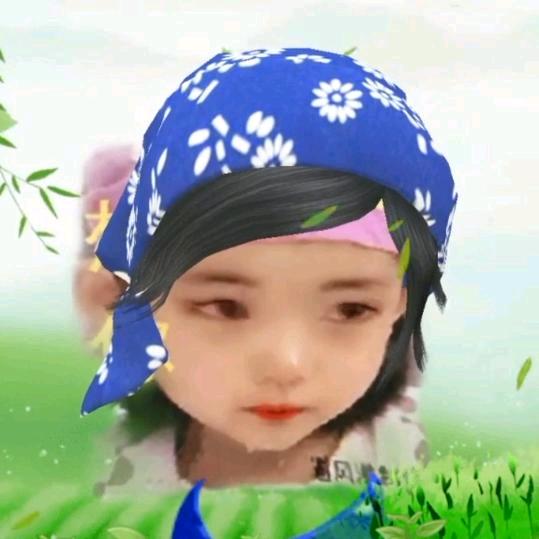 不要问我