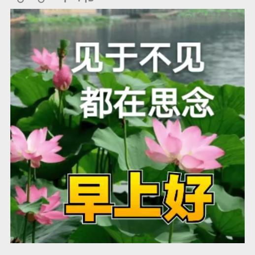 初升的太阳