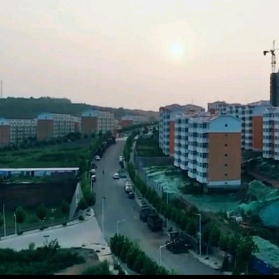 龙