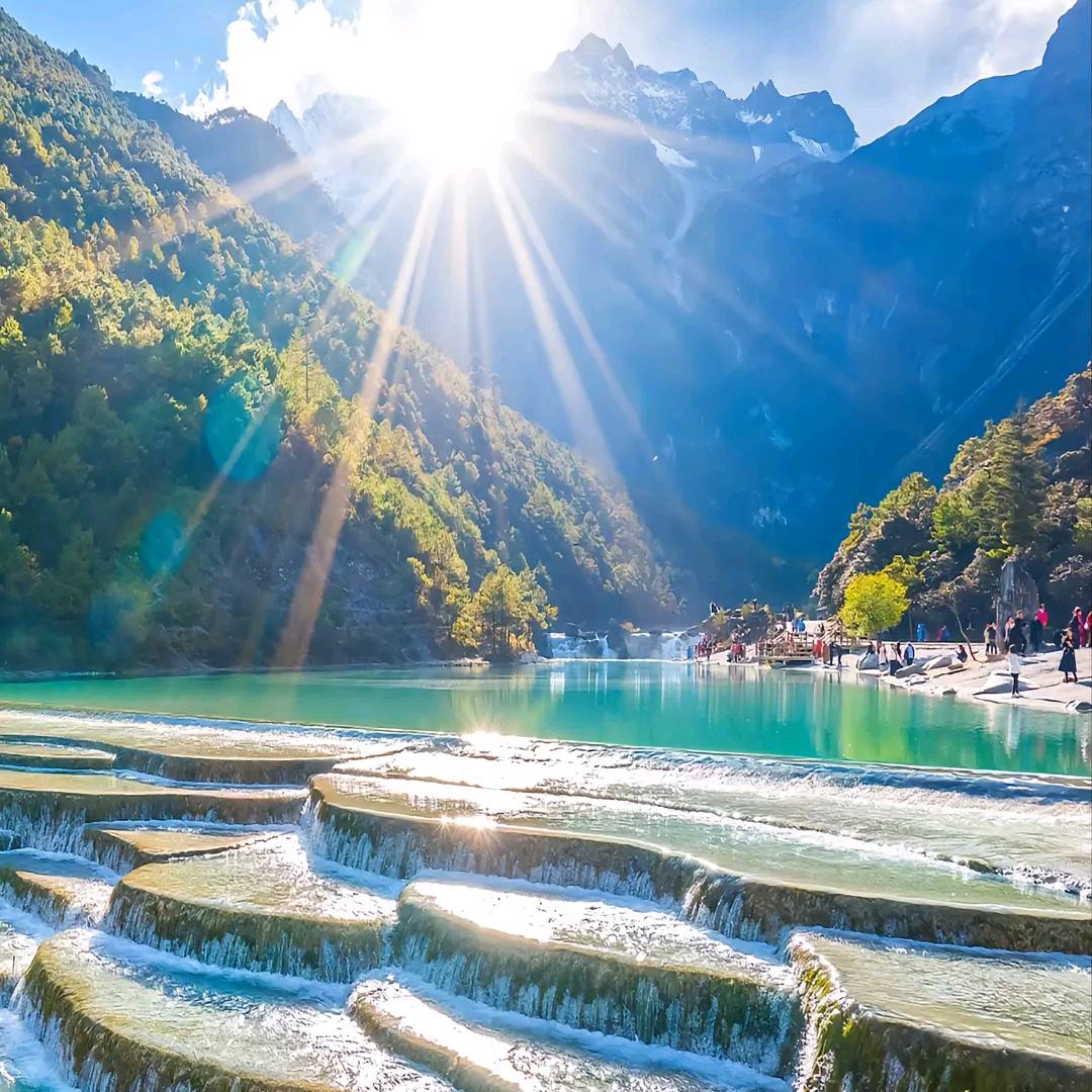 春江花月夜@猫子