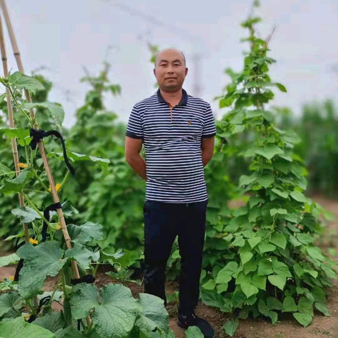 东北农村君哥