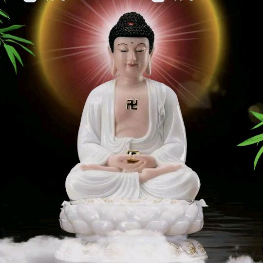 浪侠(锋哥)