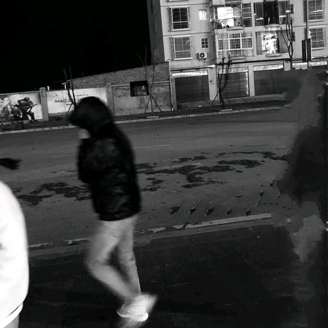 陸 🌴