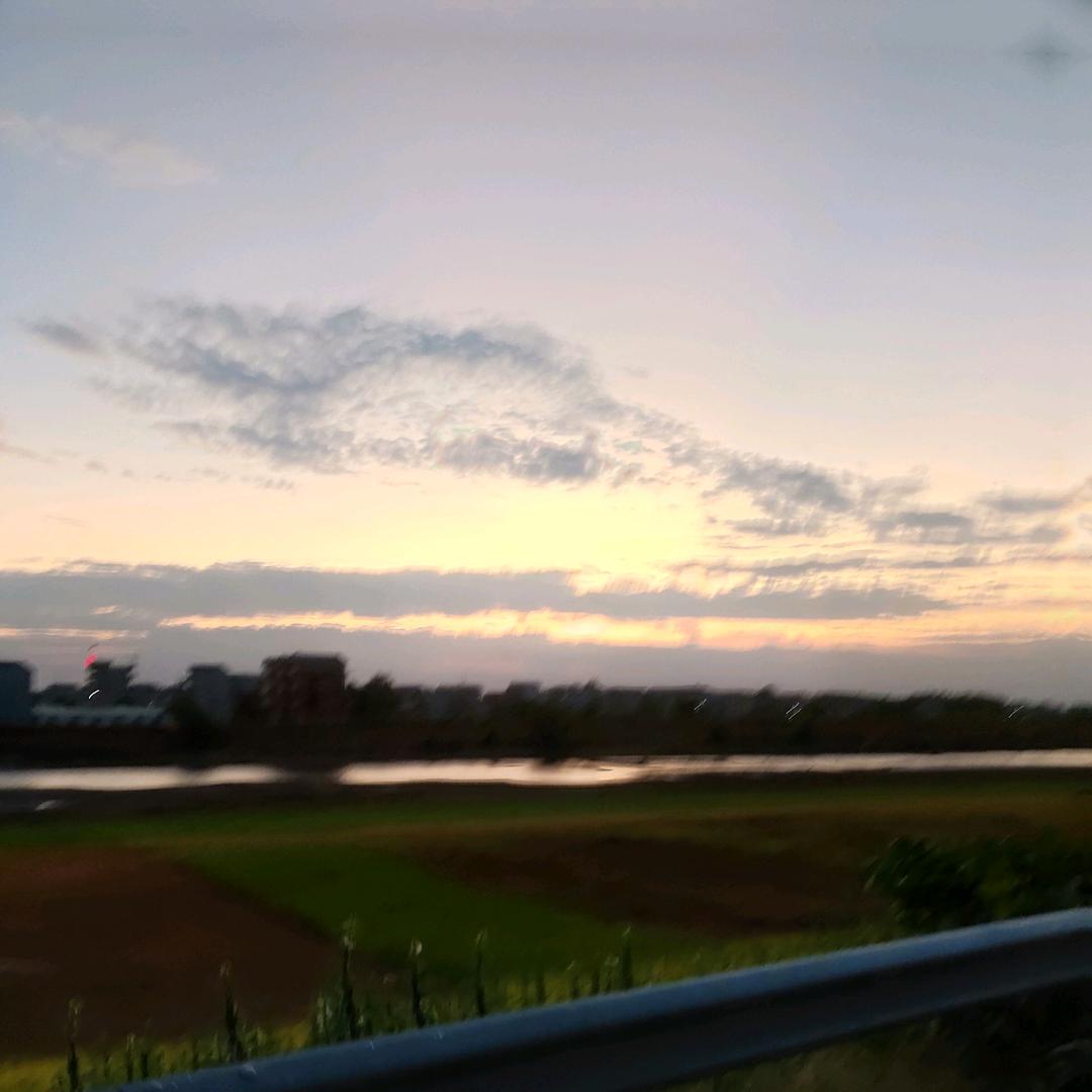 柠檬心✨✨