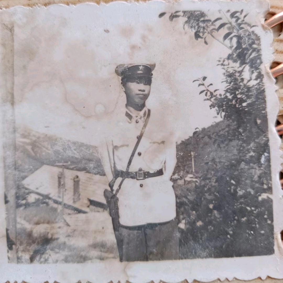 李树雄