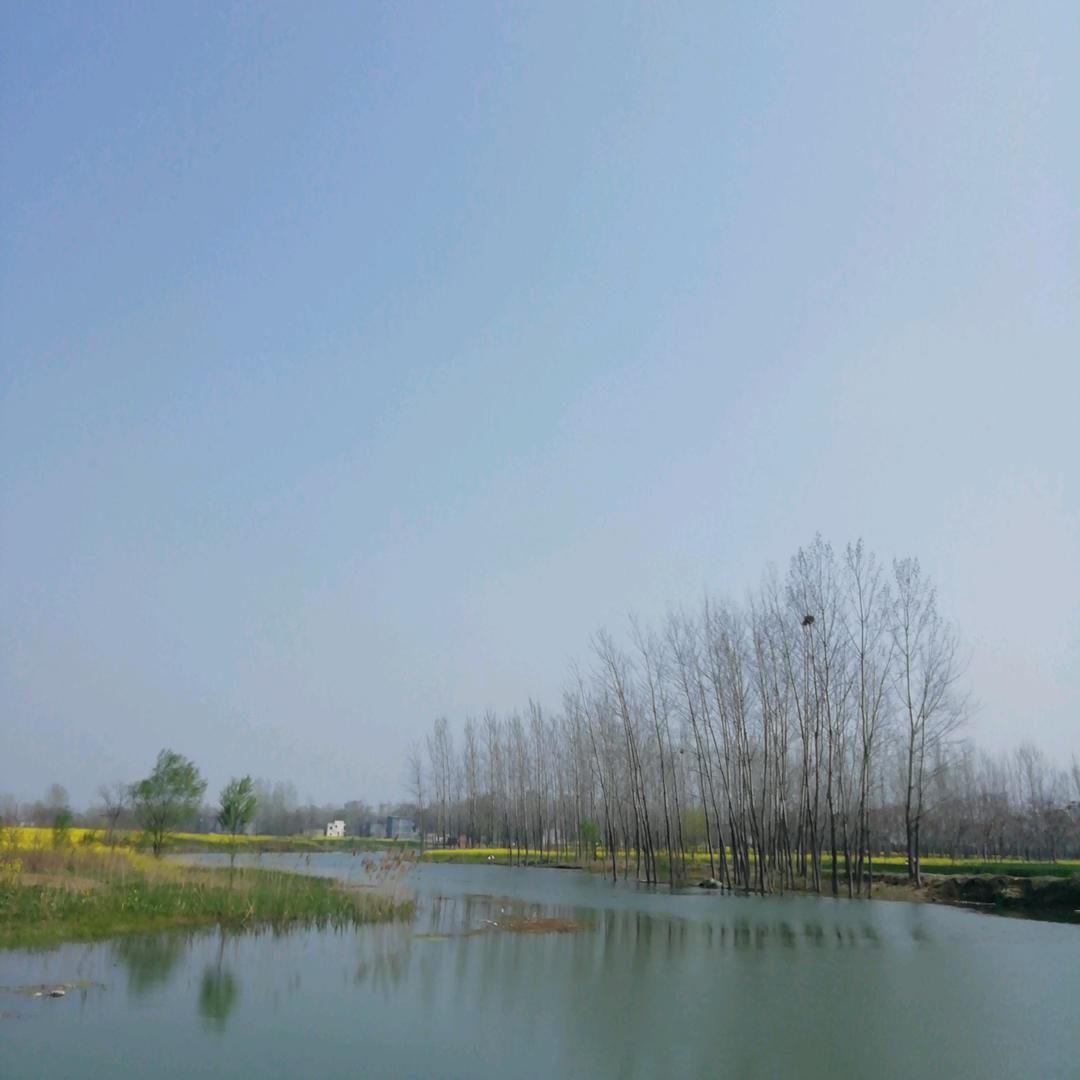 鹦鹉萌宠脖套用品