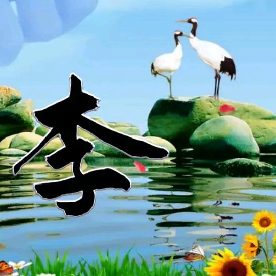 飞翔蓝天