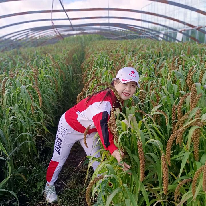 繁星点点