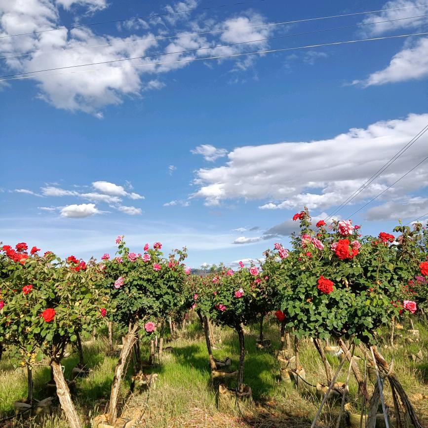 生活中的小插曲