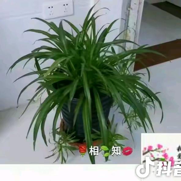 庄里～伟哥