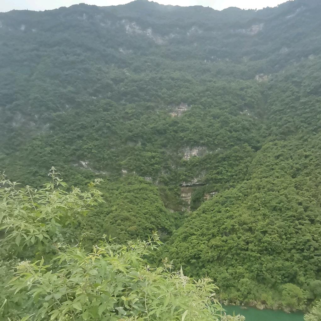 兄台