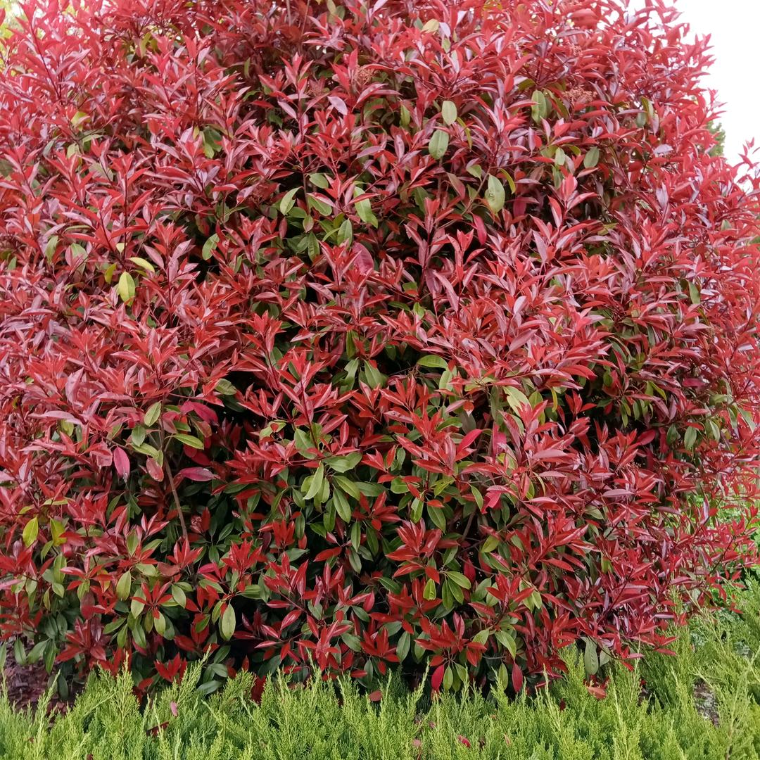 开心过好每一天阿