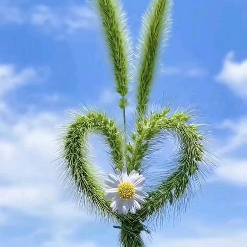 十分造型