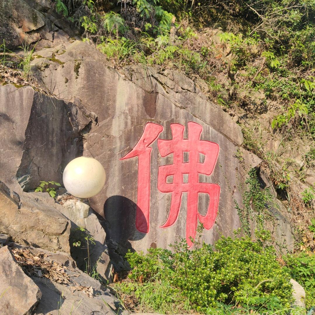 宁老开心