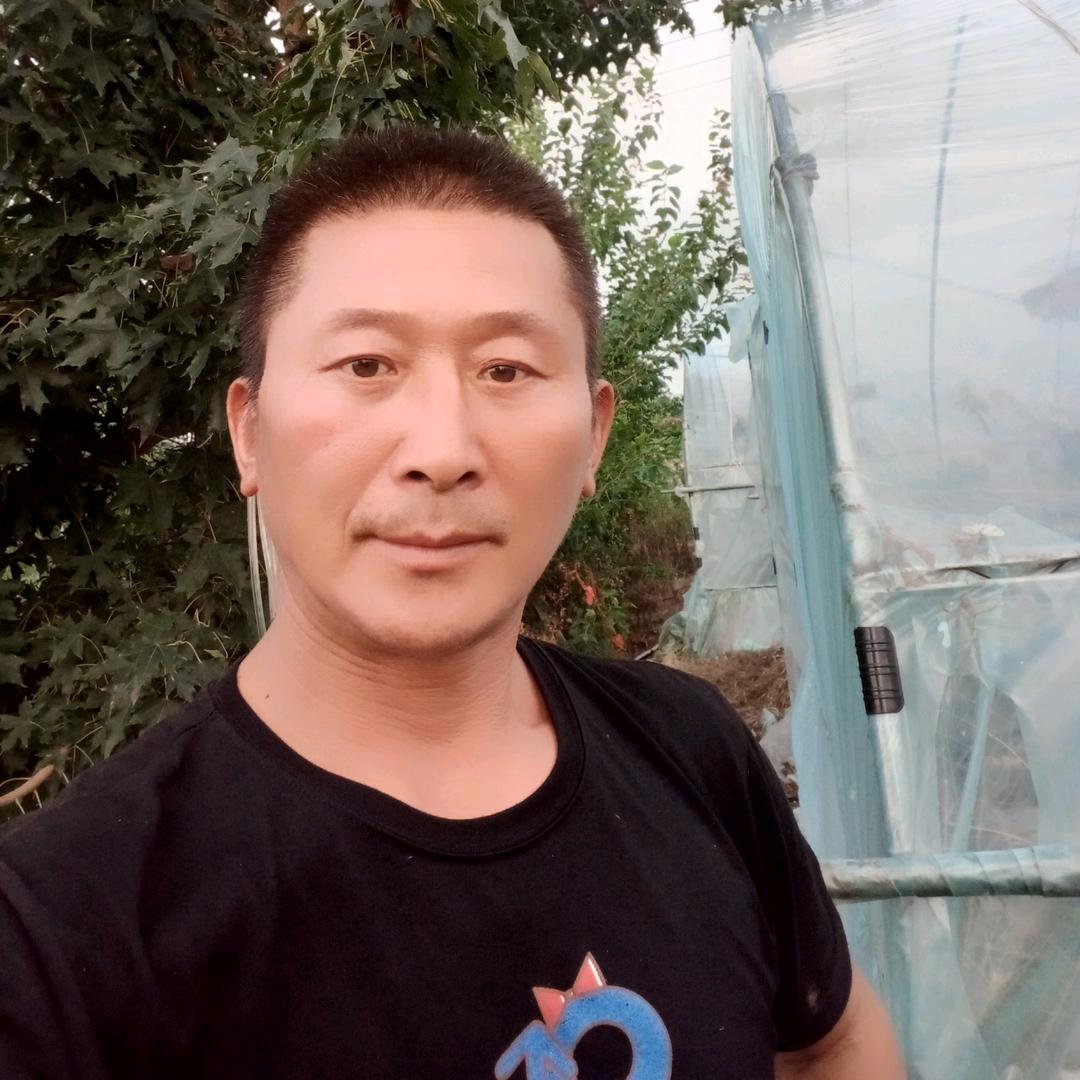 四林文化传媒