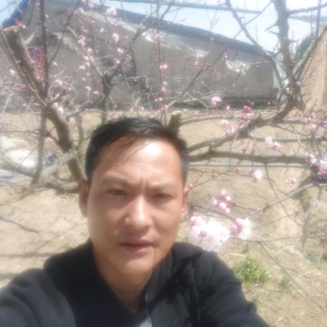 龙鑫果蔬专业合作社邹积科