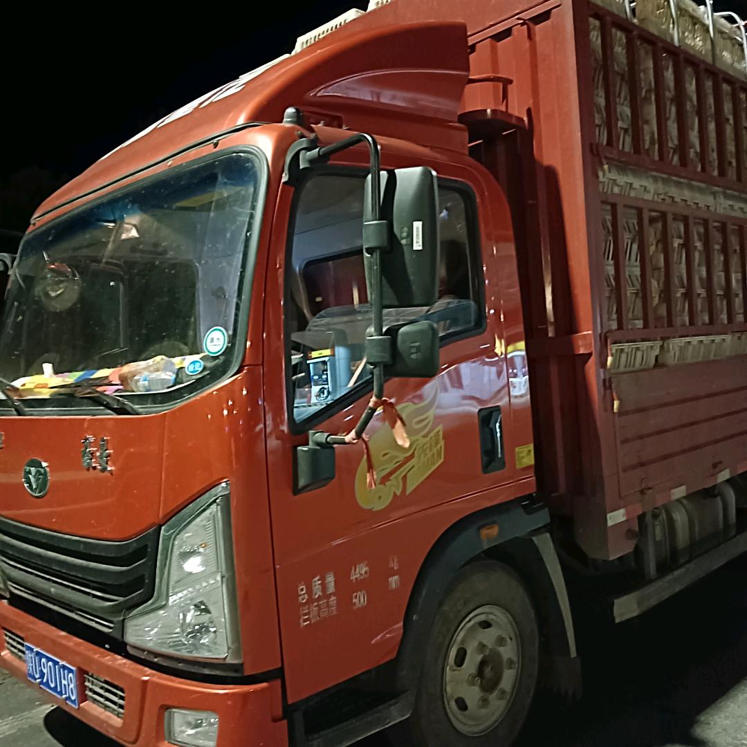 常年收肉兔商品兔淘汰兔