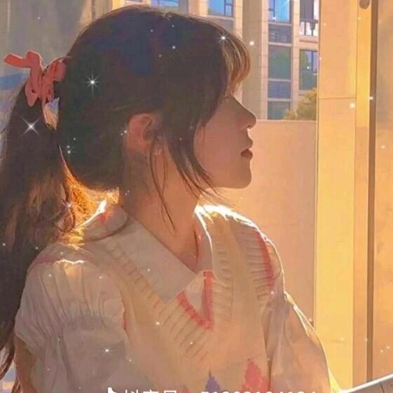 凤姐