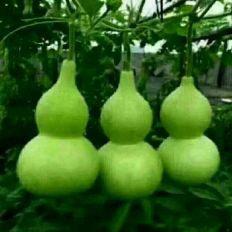 春天🌺的阳🌺光🌺