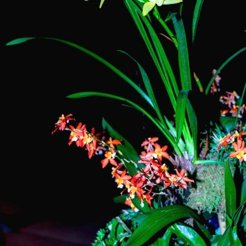 龚喜发财💃🕺