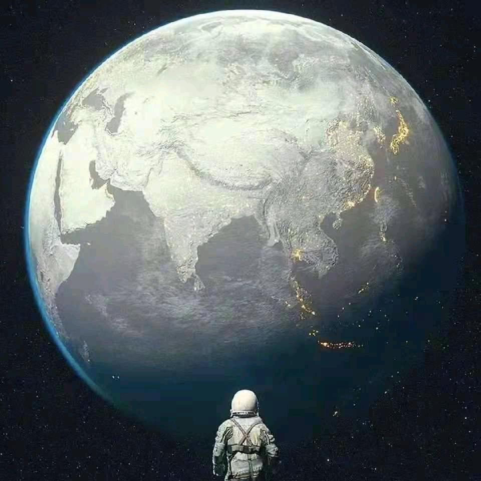拾光的杨