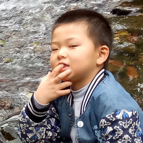 耳东陈