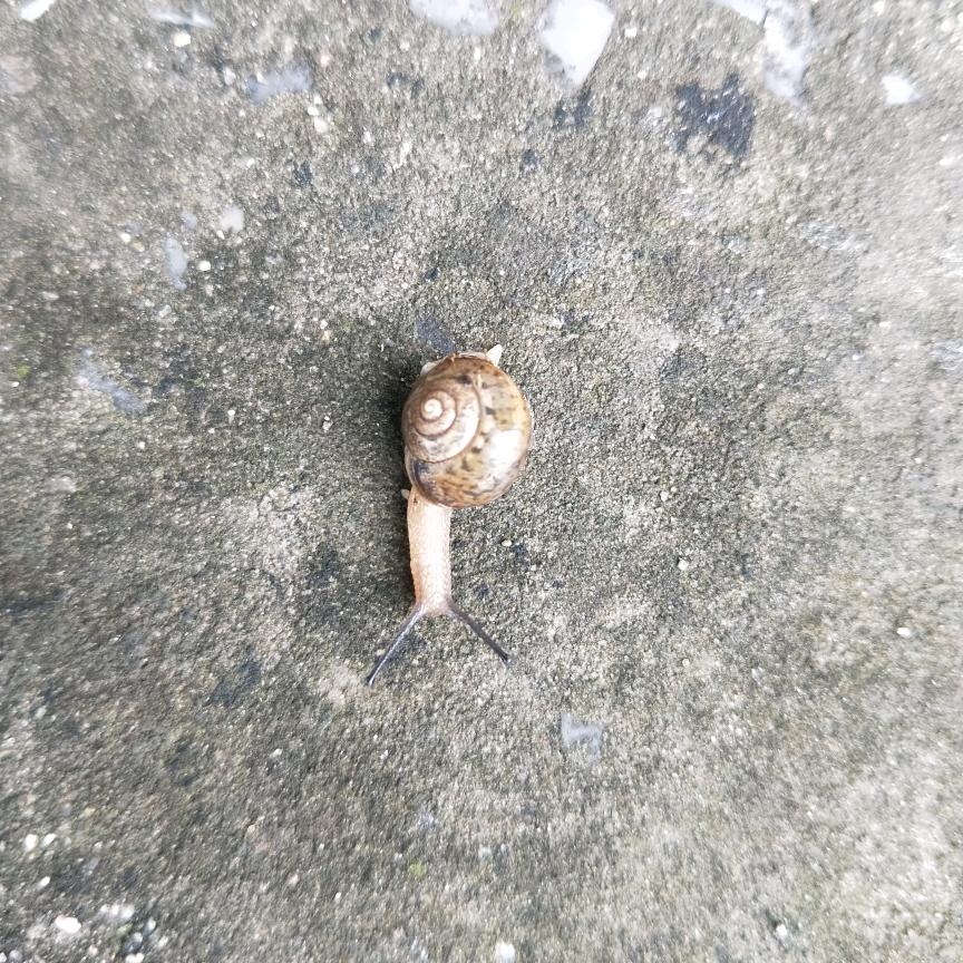幸福在哪里@