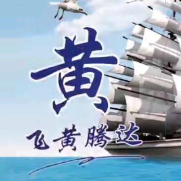 佳俊